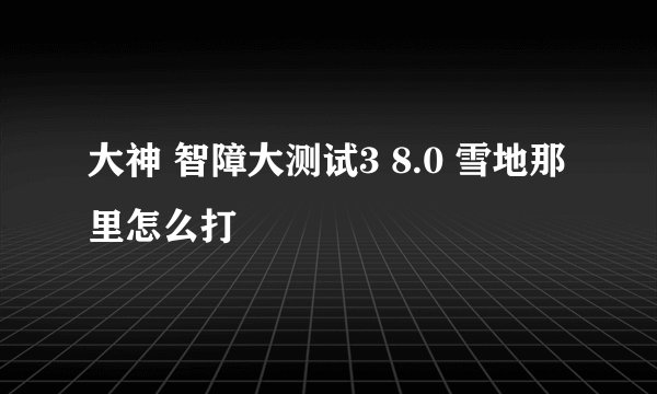 大神 智障大测试3 8.0 雪地那里怎么打