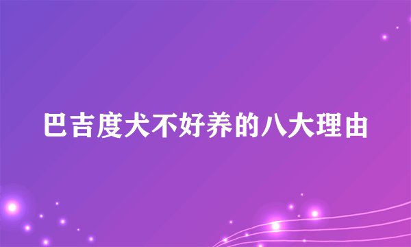 巴吉度犬不好养的八大理由