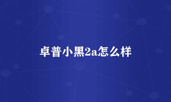 卓普小黑2a怎么样