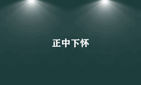 正中下怀