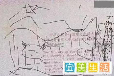 那些年被熊孩子毁过的护照