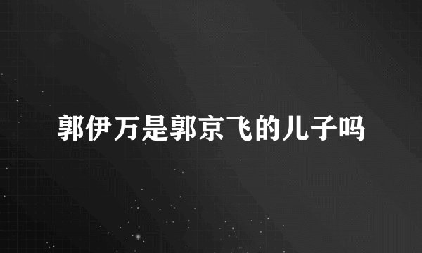 郭伊万是郭京飞的儿子吗