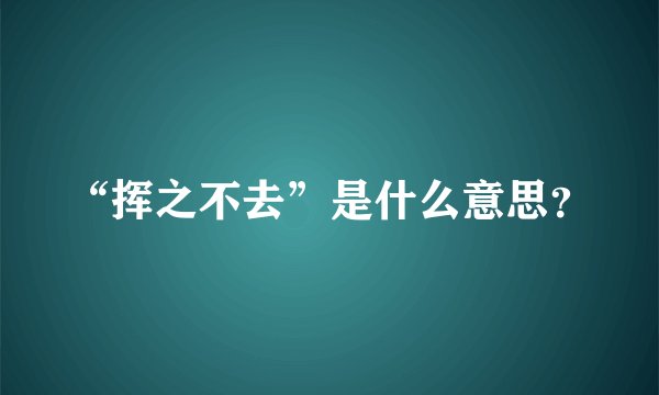 “挥之不去”是什么意思？
