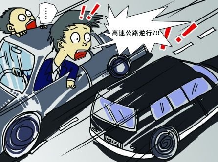 湖北女司机高速逆行6公里，被捕后称以为别人开错了，是真糊涂还是装糊涂？