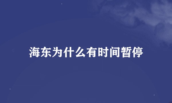 海东为什么有时间暂停
