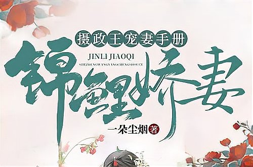 秦慕修与赵锦心的小说叫什么名字