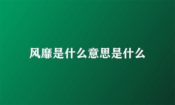 风靡是什么意思是什么
