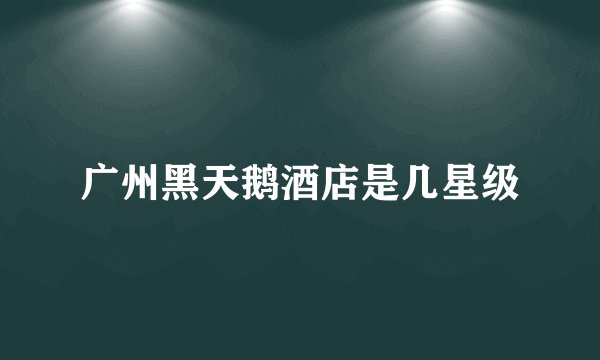 广州黑天鹅酒店是几星级