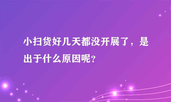 小扫货好几天都没开展了，是出于什么原因呢？