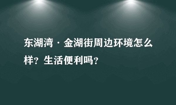 东湖湾·金湖街周边环境怎么样？生活便利吗？