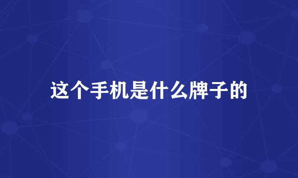 这个手机是什么牌子的
