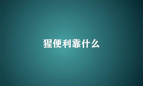 猩便利靠什么
