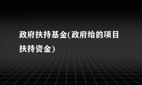 政府扶持基金(政府给的项目扶持资金)