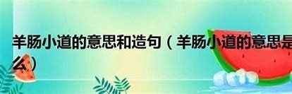 什么肠小道