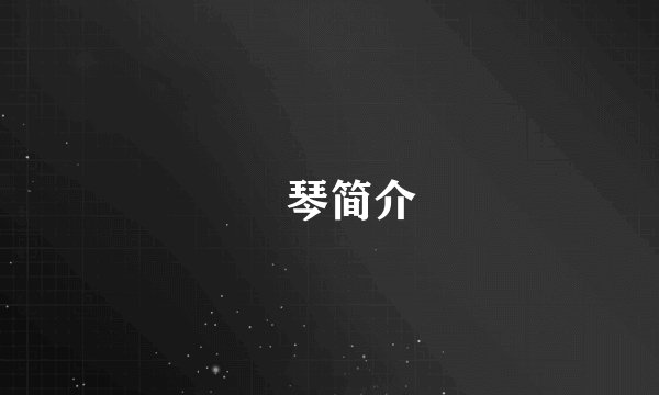 琇琴简介