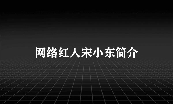 网络红人宋小东简介
