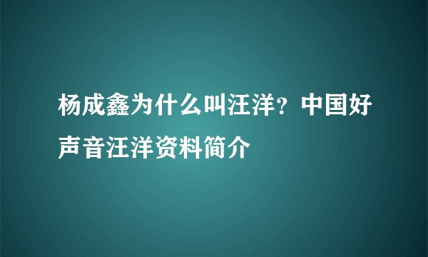 杨成鑫为什么叫汪洋？中国好声音汪洋资料简介