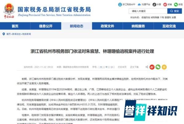 头部美妆红人雪梨和林珊珊因偷逃税被重罚!