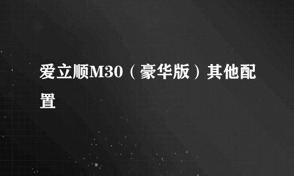 爱立顺M30（豪华版）其他配置