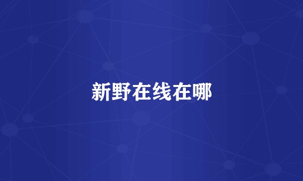 新野在线在哪
