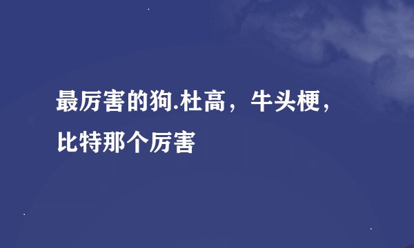 最厉害的狗.杜高，牛头梗，比特那个厉害