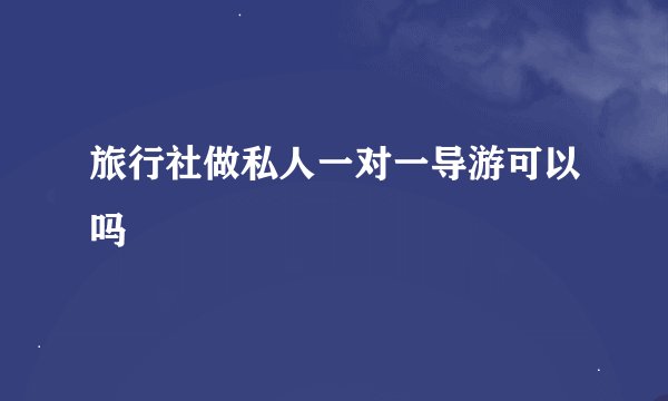 旅行社做私人一对一导游可以吗