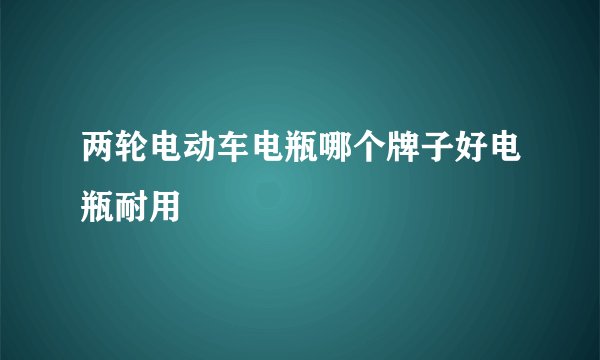 两轮电动车电瓶哪个牌子好电瓶耐用