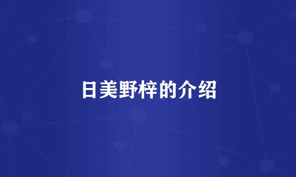 日美野梓的介绍