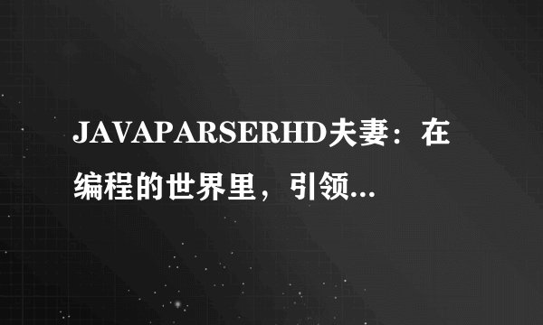 JAVAPARSERHD夫妻：在编程的世界里，引领潮流的技术伴侣！