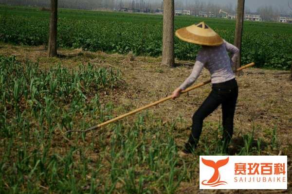 锄禾日当午什么意思