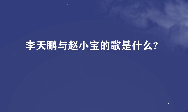 李天鹏与赵小宝的歌是什么?