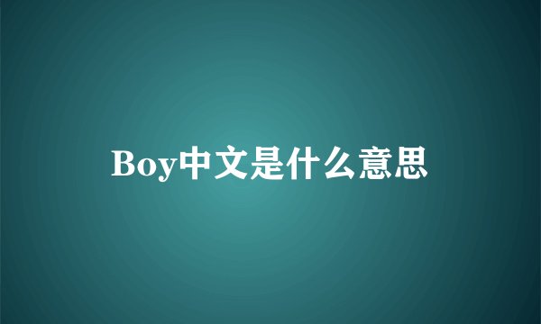 Boy中文是什么意思