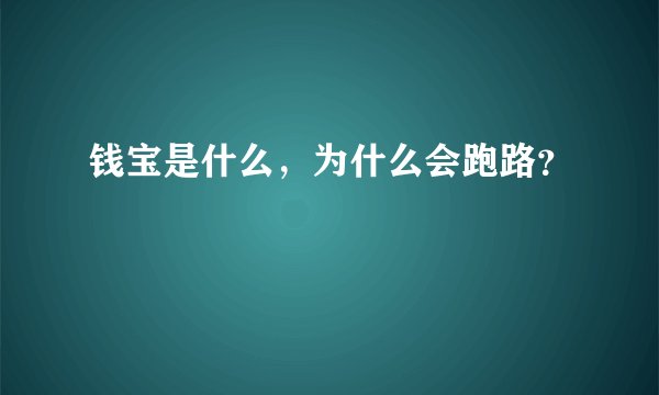 钱宝是什么,为什么会跑路?
