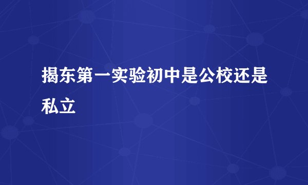 揭东第一实验初中是公校还是私立