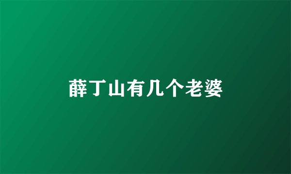 薛丁山有几个老婆