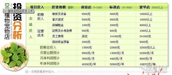 另类宠物店创业方案的简介