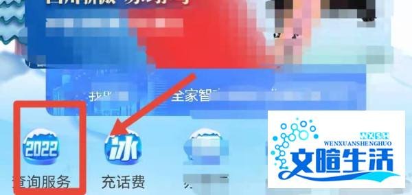 固定电话费用怎么查询