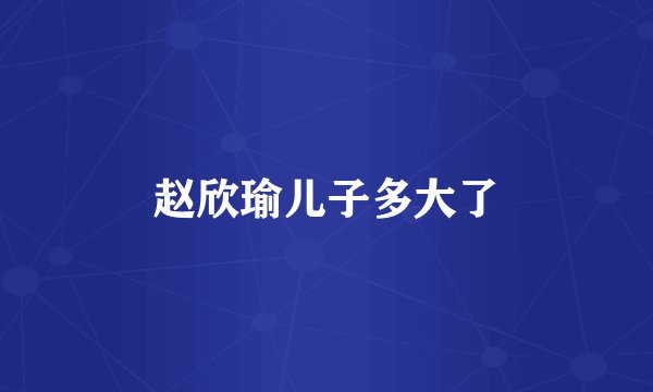赵欣瑜儿子多大了