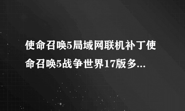使命召唤5局域网联机补丁使命召唤5战争世界17版多人联机破解补丁介绍