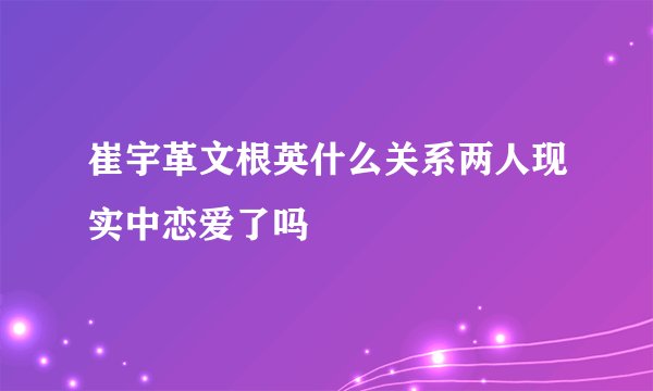崔宇革文根英什么关系两人现实中恋爱了吗