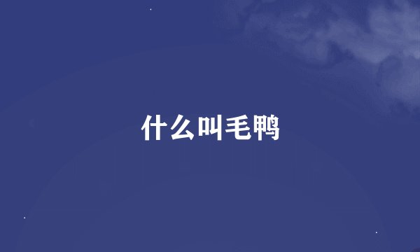 什么叫毛鸭