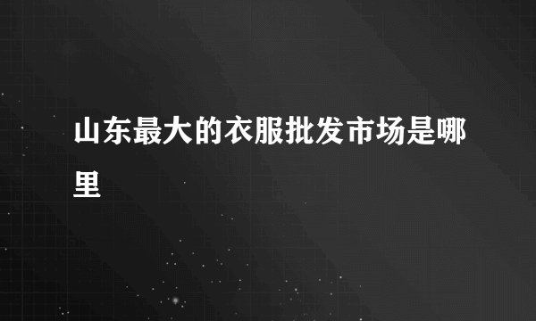 山东最大的衣服批发市场是哪里