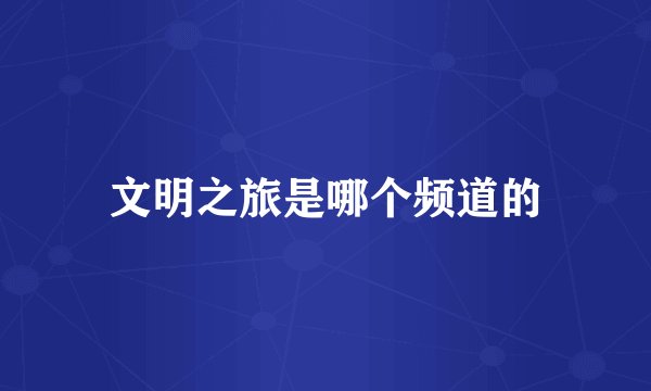 文明之旅是哪个频道的