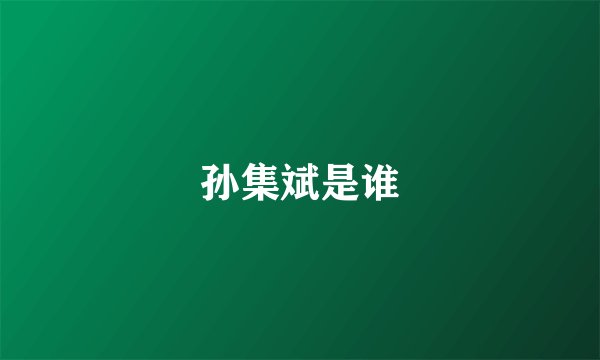 孙集斌是谁