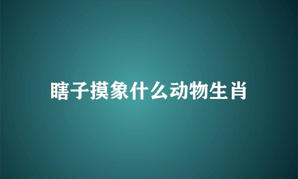 瞎子摸象什么动物生肖