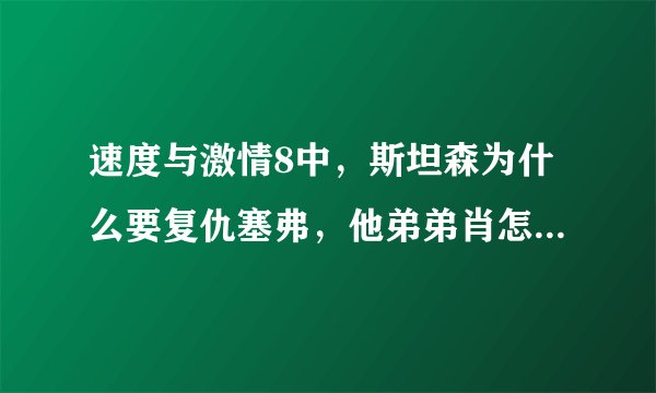 速度与激情8中，斯坦森为什么要复仇塞弗，他弟弟肖怎么没有死？