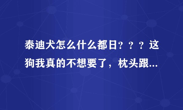 泰迪犬怎么什么都日？？？这狗我真的不想要了，枕头跟自己的手办都被它玷污了。