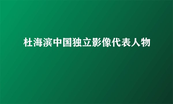 杜海滨中国独立影像代表人物