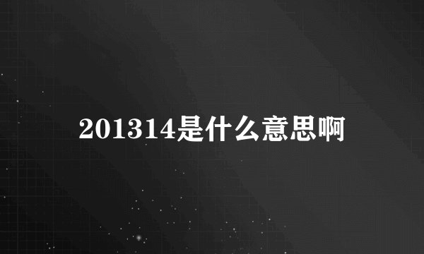 201314是什么意思啊