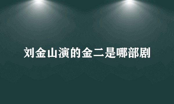 刘金山演的金二是哪部剧